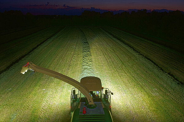 Turns the night into day