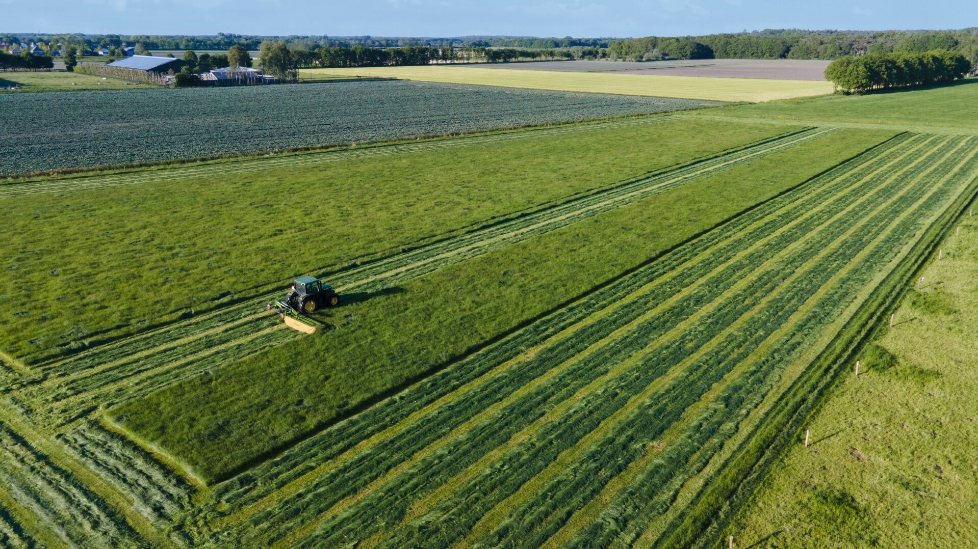 [Translate to EN (UK):] 