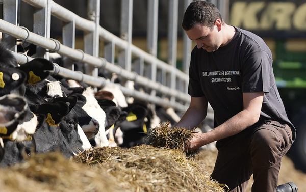 Forage quality