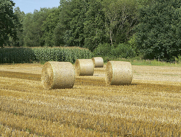 TIM ensures uniform bales