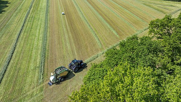 Cutting unit and rotor