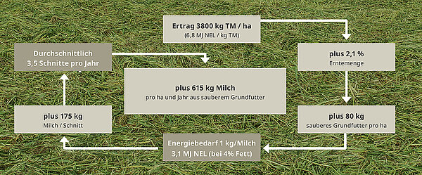 DLG confirms: Less contamination and fewer losses in the raking pass