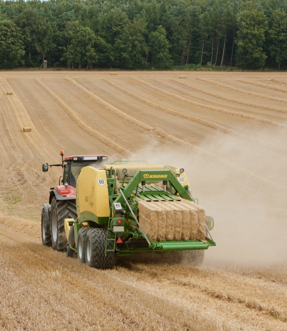 [Translate to EN (UK):] 