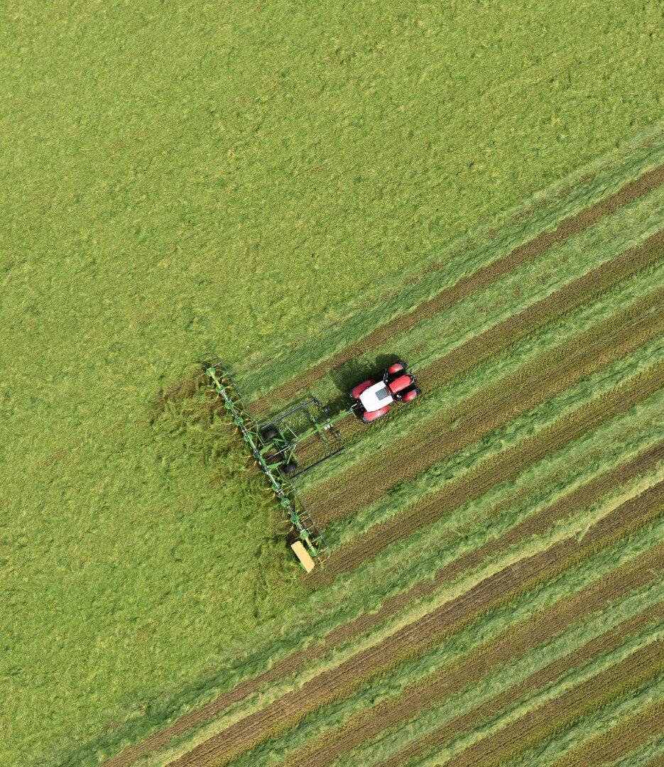 [Translate to EN (UK):] 