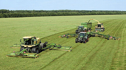 Krone festigt Position