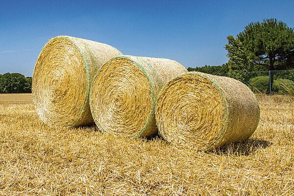 Bale sizes