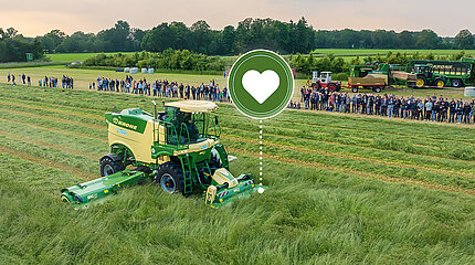 [Translate to EN (UK):] 