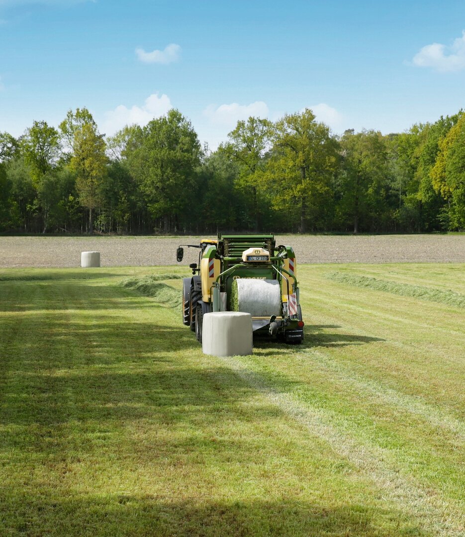 [Translate to EN (UK):] 